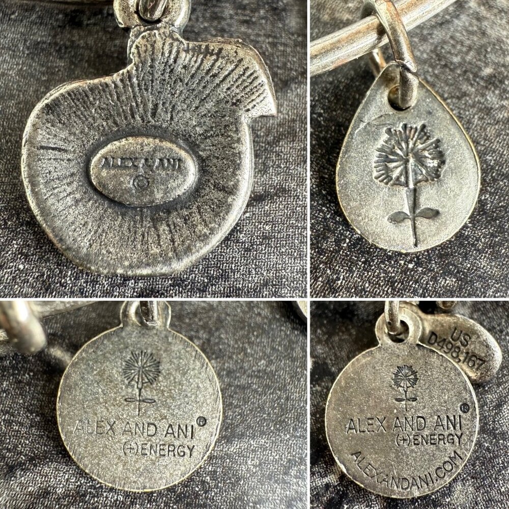 Alex and Ani Apple Charm Bracelet Silver Nature Expandable Bangle - Picture 4 of 14
